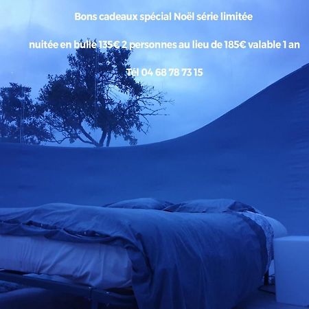 Relais De L'Alsou- Piscine Bed & Breakfast Labastide-en-Val Luaran gambar