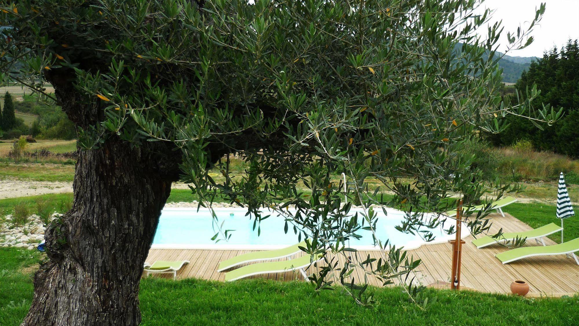 Relais De L'Alsou- Piscine Bed & Breakfast Labastide-en-Val Luaran gambar