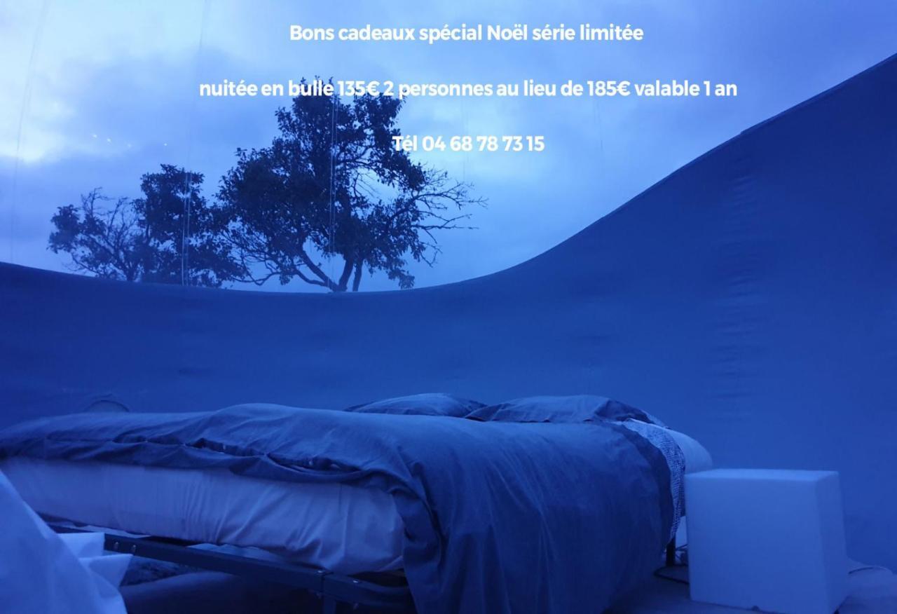 Relais De L'Alsou- Piscine Bed & Breakfast Labastide-en-Val Luaran gambar